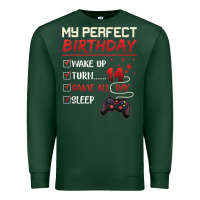 Sports Green 14 Year Old Gamer Gift Boy Teen 14th Perfect Birthday Gaming Premium Sweatshirt - trangStudio