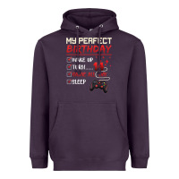 Plum 14 Year Old Gamer Gift Boy Teen 14th Perfect Birthday Gaming Heavyweight Hoodie - trangStudio