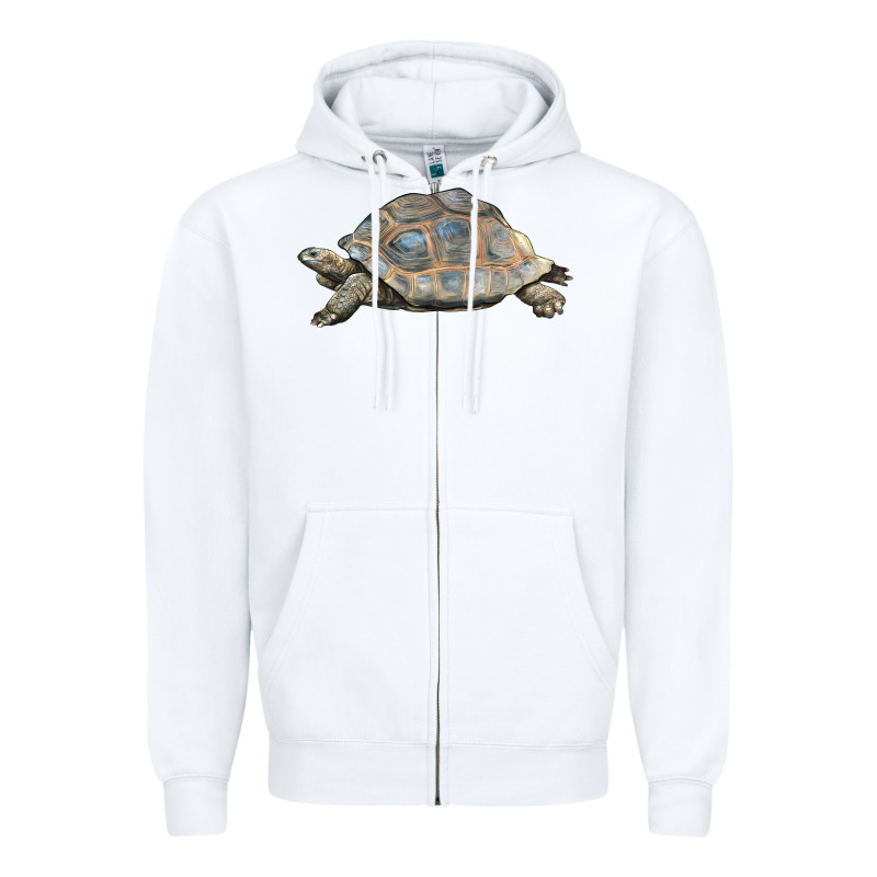 Tortoise Illustrations Zipper Hoodie by LillyAllenDesigns | Teevron