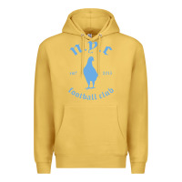 Antique Gold New York City Pigeons Classic gift Premium Hoodie - trangStudio