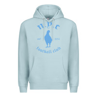 Blue Mist New York City Pigeons Classic gift Premium Hoodie - trangStudio