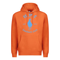 Carrot New York City Pigeons Classic gift Premium Hoodie - trangStudio