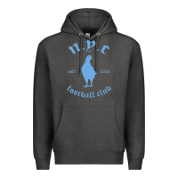 New York City Pigeons Classic Gift Premium Hoodie | Teevron