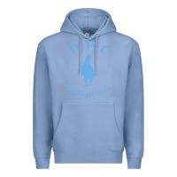 Colony Blue New York City Pigeons Classic gift Premium Hoodie - trangStudio
