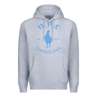 Heather Grey New York City Pigeons Classic gift Premium Hoodie - trangStudio