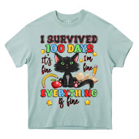 I Survived 100 Days It's Fine I'm Fine Heavy Core Tee | Teevron