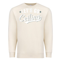 Sandshell Lets Go Ceiling Fan Halloween Premium Sweatshirt - trangStudio