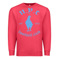 Cardinal New York City Pigeons Classic gift Premium Sweatshirt - trangStudio