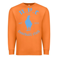 Carrot New York City Pigeons Classic gift Premium Sweatshirt - trangStudio