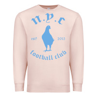 Pale Pink New York City Pigeons Classic gift Premium Sweatshirt - trangStudio