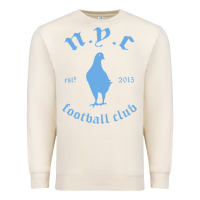 Sandshell New York City Pigeons Classic gift Premium Sweatshirt - trangStudio