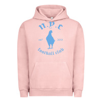 Pigment Salmon New York City Pigeons Classic gift Urban Hoodie - trangStudio