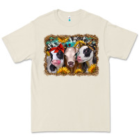 Bone western sunflower heifers Premium Tee - Jasminsmagicworld