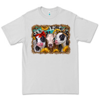 Dove Grey western sunflower heifers Premium Tee - Jasminsmagicworld