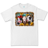 White western sunflower heifers Premium Tee - Jasminsmagicworld