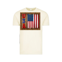 Vintage Arctic america usa flag tumbler Vintage Tee - TumblerDesignByShophia