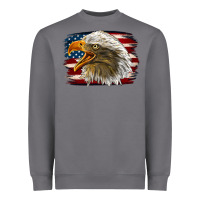 Storm Western American Flag Eagle Heavyweight Sweatshirt - LillyAllenDesigns