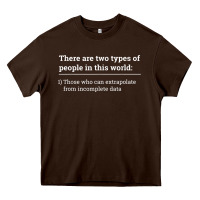 Chocolate Brown Two Types of People Can Extrapolate Incomplete Data Gift Heavy Core Tee - minhPixels
