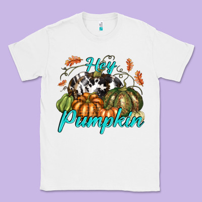Hey Pumpkin Classic Tee Designed By Texasbilliewilder