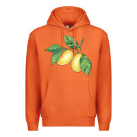 Carrot lemons Premium Hoodie - BundleAndBundleShop