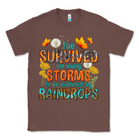 Chestnut I've Survived Too Many Storms Classic Tee - texasbilliewilder