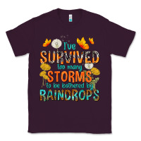Plum I've Survived Too Many Storms Classic Tee - texasbilliewilder