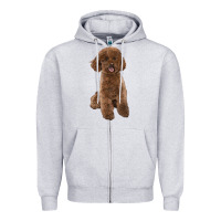 Heather Grey Poodles Dog lllustrations Zipper Hoodie - LillyAllenDesigns