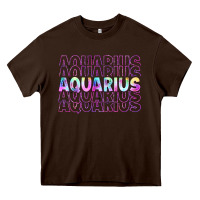 Chocolate Brown aquarius Heavy Core Tee - Artiststas