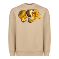 Mushroom Pumpkin Heavyweight Sweatshirt - LillyAllenDesigns