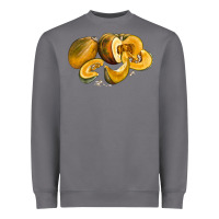 Storm Pumpkin Heavyweight Sweatshirt - LillyAllenDesigns