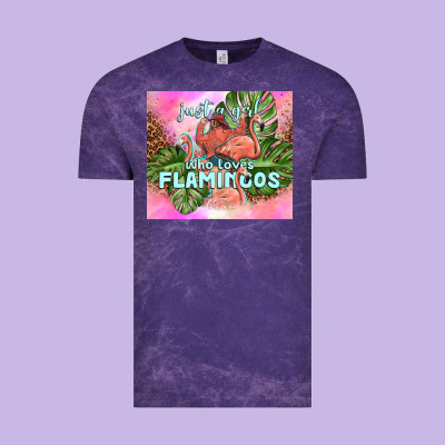 Just A Girl Who Loves Flamingo Vintage Tee Designed By Tumblerdesignbyshophia