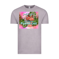 Vintage Zinc just a girl who loves flamingo Vintage Tee - TumblerDesignByShophia