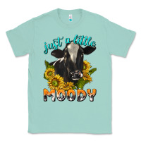 Seafoam Just a Little Moody Classic Tee - texasbilliewilder