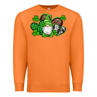 Carrot st patricks day gnome with western hearts Premium Sweatshirt - Artiststas