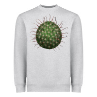 Heather Grey Arizona Fishhook Cactus Heavyweight Sweatshirt - LillyAllenDesigns