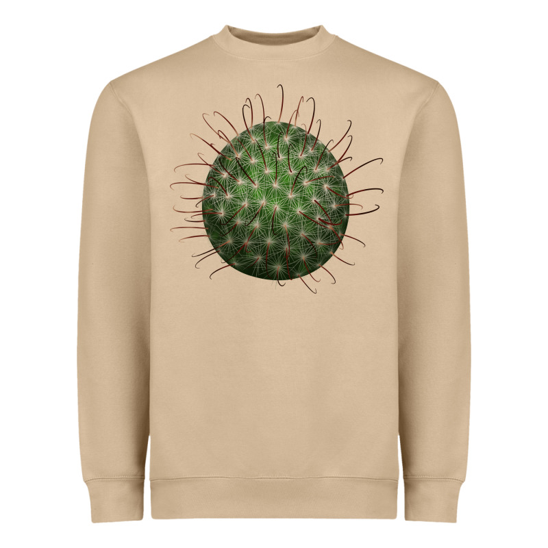 Arizona Fishhook Cactus Heavyweight Sweatshirt by LillyAllenDesigns | Teevron