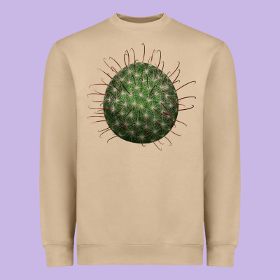 Arizona Fishhook Cactus Heavyweight Sweatshirt Designed By Lillyallendesigns