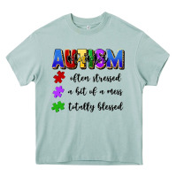 Arona i'm a hot mess always stressed and proudly autism Heavy Core Tee - Artiststas