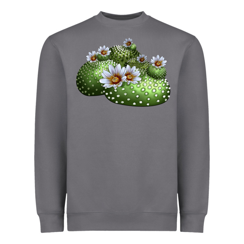 Blossfeldia Cactus Heavyweight Sweatshirt by LillyAllenDesigns | Teevron