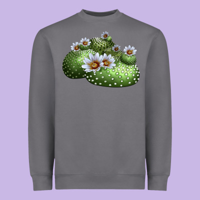 Blossfeldia Cactus Heavyweight Sweatshirt Designed By Lillyallendesigns