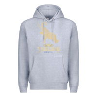 Heather Grey Thai Flag Vacation Bangkok Travel Thailand Premium Hoodie - minhPixels