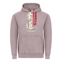 Vintage Zinc Judo Cool Japanese Symbol Judoka Martial Arts Lover Gift Vintage Hoodie - minhPixels