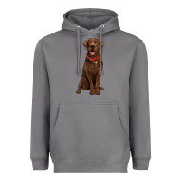 Storm chocolate lab labrador retriever Heavyweight Hoodie - Artiststas