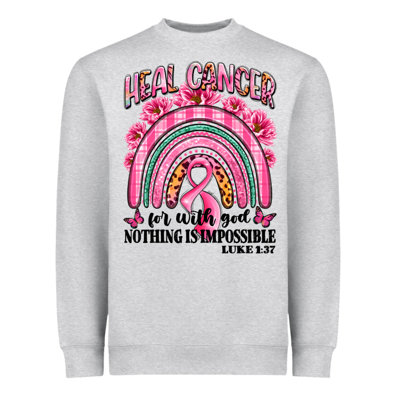 Heal Cancer Rainbow Heavyweight Sweatshirt by LillyAllenDesigns | Teevron