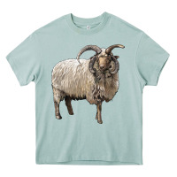 Navajo Churro Sheep Heavy Core Tee | Teevron