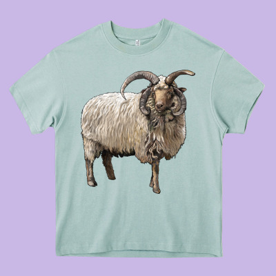 Navajo Churro Sheep Heavy Core Tee Designed By Lillyallendesigns