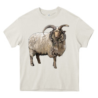 Cream navajo churro sheep Heavy Core Tee - LillyAllenDesigns
