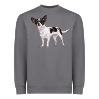 Storm chihuahua Heavyweight Sweatshirt - LillyAllenDesigns