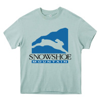 Arona snowshoe mountain Heavy Core Tee - minhPixels