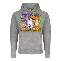 Cloud Rock pet all the pumpkins Vintage Hoodie - CowGirlArtShop